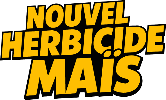 logo-seul